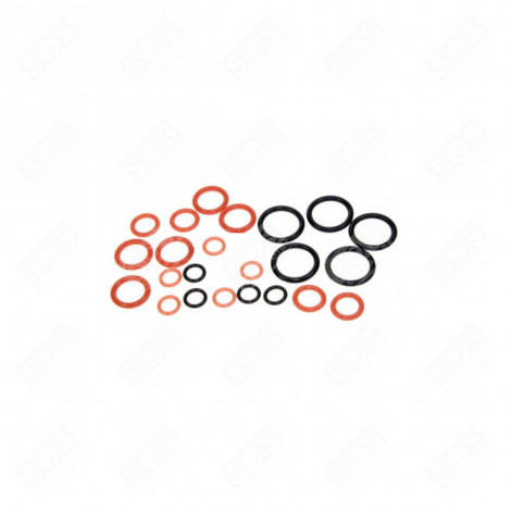 GASKET KIT (ORIGINAL) STEAM CLEANER - PRC18910