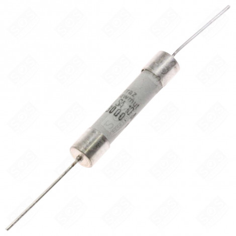 10 A DELAY FUSE MICROWAVE OVENS - MS-0295173