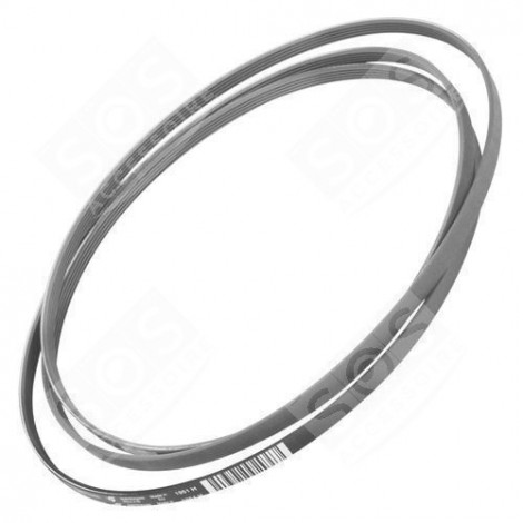 1951H6 DRIVE BELT TUMBLE DRYER - C00202942, 03850301