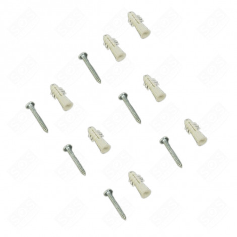 SCREW KIT EXTRACTOR HOOD - 210301363